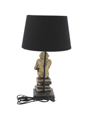 Làmpade sobretaula mico amb llibres