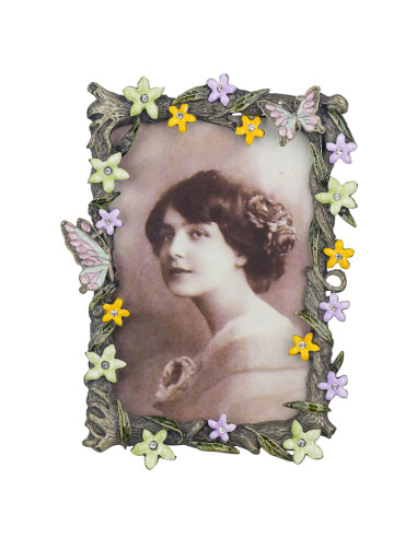 Marc fotos vintage de metall flors i papallones