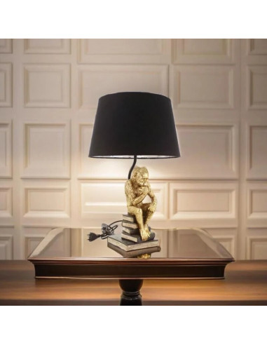 Làmpade sobretaula mico amb llibres