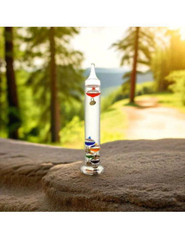 Termòmetre GALILEO 24 cm