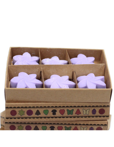 Caja de 6 ceras de soja Campos de lavanda