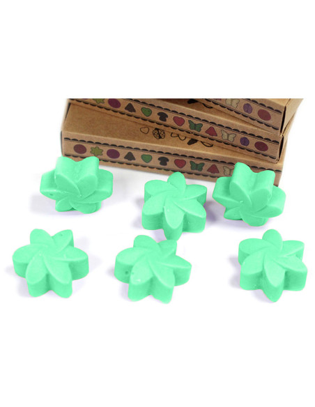 Caja de 6 ceras de soja Jardín escondido