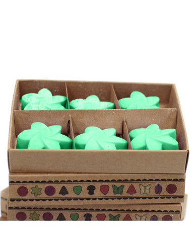 Caja de 6 ceras de soja Jardín escondido