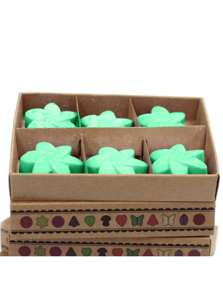 Caja de 6 ceras de soja Jardín escondido