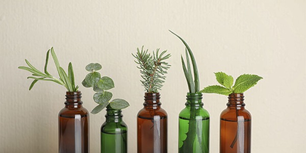 LOS 10 MEJORES ACEITES ESENCIALES PARA MEJORAR TU SALUD